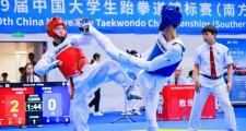 开云-跆拳道锦标赛上演强强对话，岭南貔貅队大胜渝州灰熊队，战术调整见效；临场应变见真章(2023全国跆拳道锦标赛回放视频全部)
