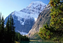 开云- 利物浦训练开放日；赛前状态回暖引欢呼；意大利杯在即；纪律约束更严格