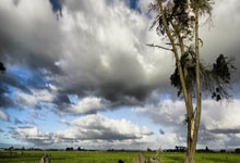 开云-关于迈阿密热火训练开放日；冲刺阶段队长鼓劲引欢呼；亚冠在即；轮换策略成焦点的信息